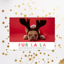 Fur La La Navidades Divertida Mascota Perro Lover 