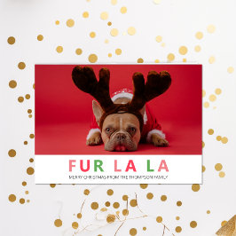 Tarjeta Festiva Fur La La Navidades Divertida Mascota Perro Lover 