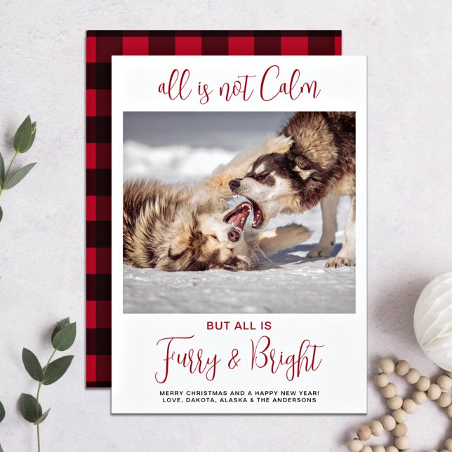 Tarjeta Festiva Furia Mascota divertida y foto de perro Personaliz (Subido por el creador)