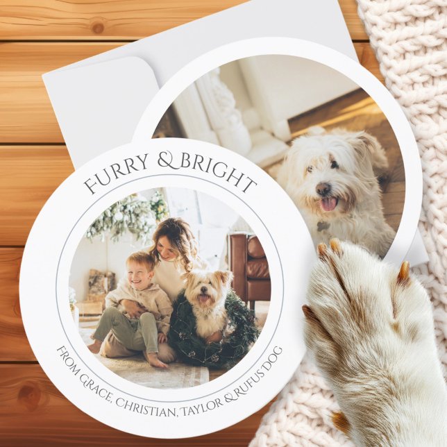 Tarjeta Festiva Furia personalizada y foto brillante de los navida (Christmas Personalized Furry and Bright Photo Holiday Card by Ricaso. Pet cards or change to suit)