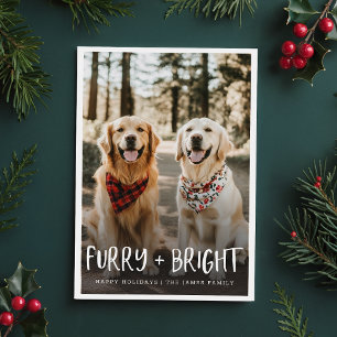 Tarjeta Festiva Furry Bright Cute Funny Mascota Dog Photo Navidade