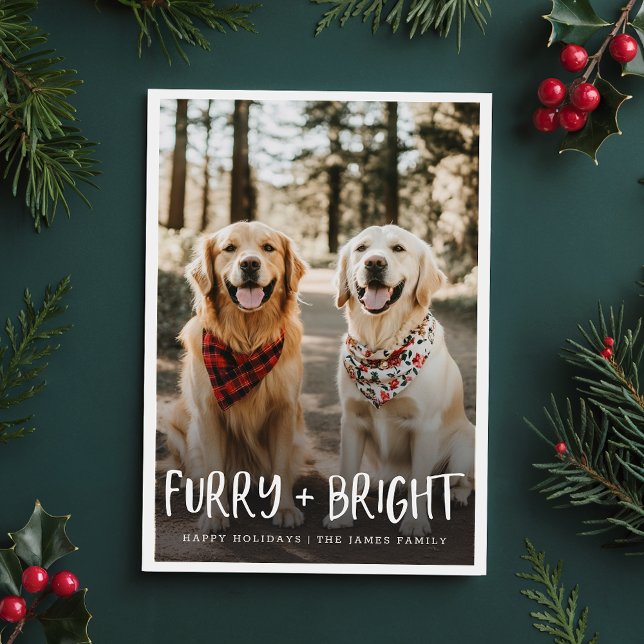 Tarjeta Festiva Furry Bright Cute Funny Mascota Dog Photo Navidade (Subido por el creador)
