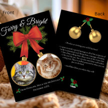 Furry & Bright Fiesta Foto Familia Gato Fiesta