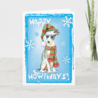 Galgo italiano feliz de Howlidays