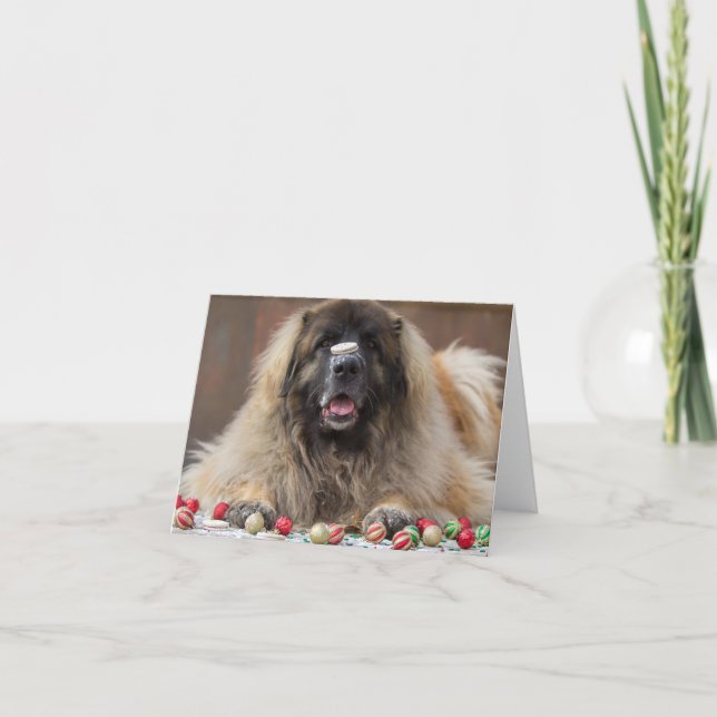 Tarjeta Festiva galleta feliz Leonberger (Anverso)