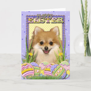 Tarjeta Festiva Galletas del huevo de Pascua - Pomeranian