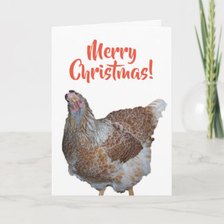 Tarjeta Festiva Gallina Wyandotte de encaje azul Miel Feliz Navida