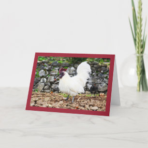 Tarjeta Festiva Gallo blanco