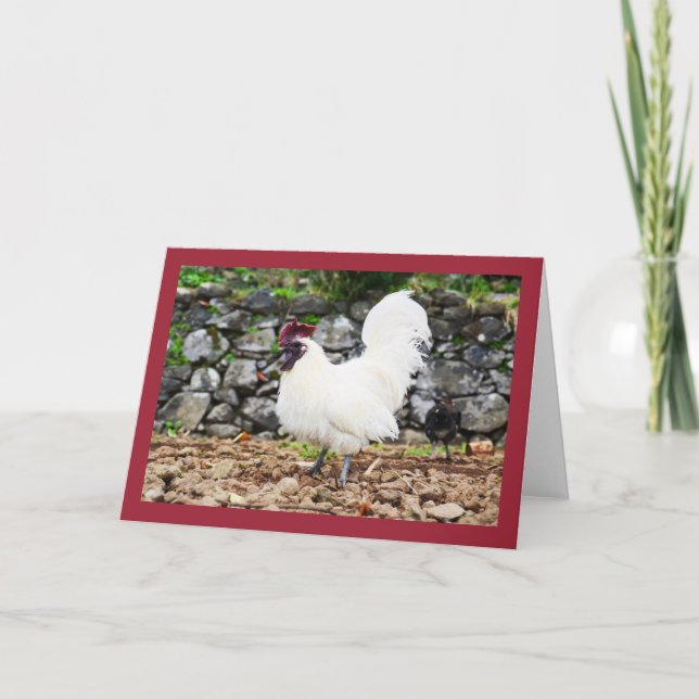 Tarjeta Festiva Gallo blanco (Anverso)