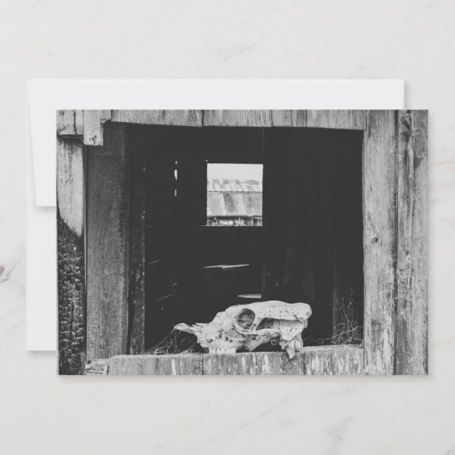 Tarjeta Festiva Ganado bovino (Anverso)