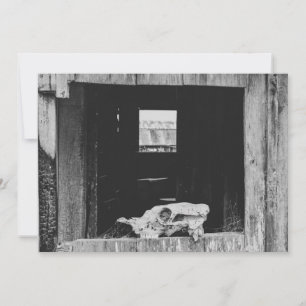 Tarjeta Festiva Ganado bovino