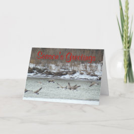 Tarjeta Festiva Gansos canadienses B7 en vuelo