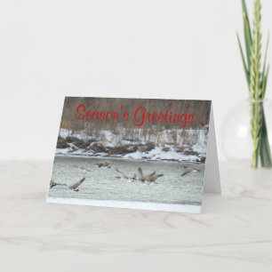Tarjeta Festiva Gansos canadienses B7 en vuelo