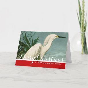 Tarjeta Festiva Garza Blanca de Audubon Ave Birding