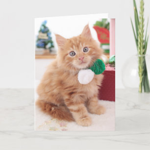 Tarjeta Festiva Gatito