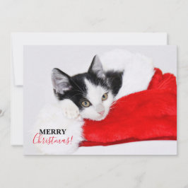 Tarjeta Festiva Gatito Adorable con Sombrero de Santa