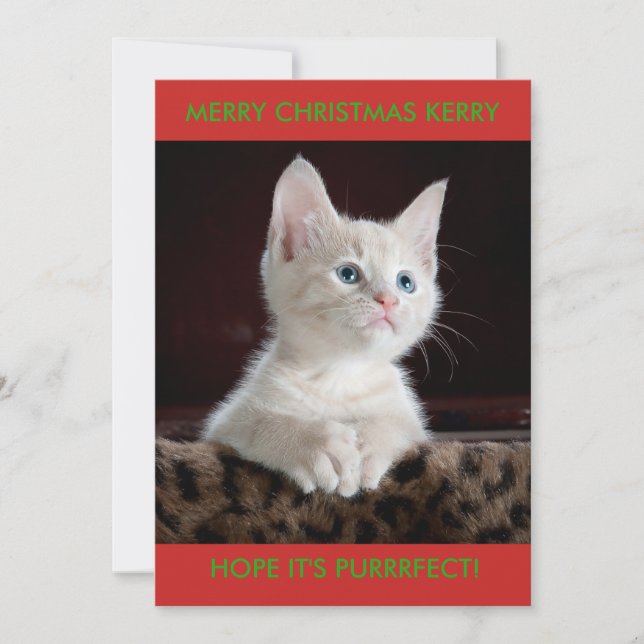 TARJETA FESTIVA GATITO BLANCO PERSONALIZADO (Anverso)