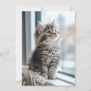 Tarjeta Festiva Gatito cerca de la ventana Plano