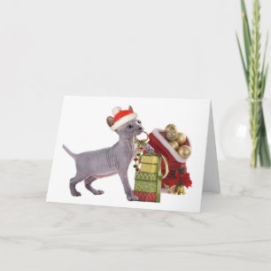 Tarjeta Festiva Gatito ChristmasCards de Sphynx