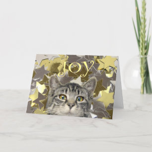 Tarjeta Festiva Gatito de la estrella