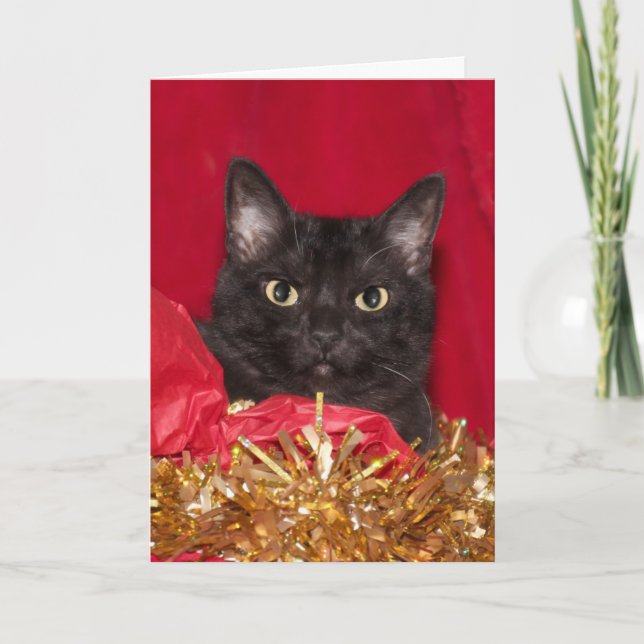 Tarjeta Festiva Gatito de Navidades negros (Anverso)