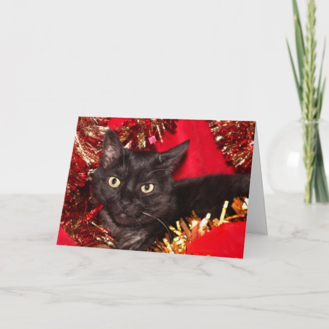 Tarjeta Festiva Gatito de Navidades negros (Anverso)