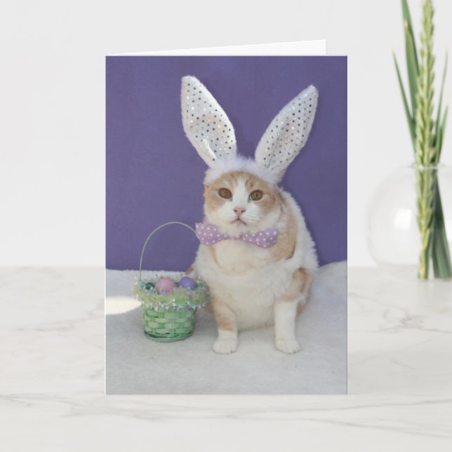 Tarjeta Festiva Gatito de Pascua (Anverso)
