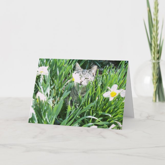 TARJETA FESTIVA GATITO DE PASCUA (Anverso)