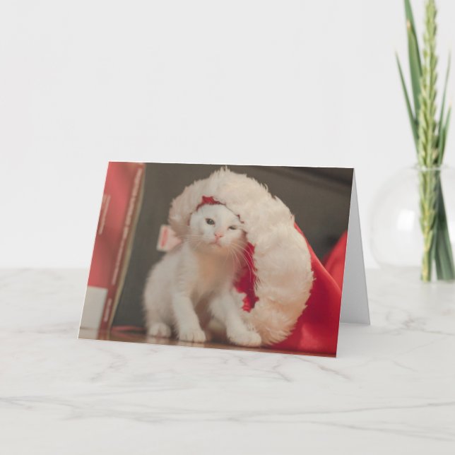 Tarjeta Festiva Gatito de Santa (Anverso)
