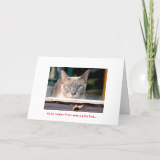 Tarjeta Festiva Gatito del día de fiesta