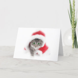 Tarjeta Festiva Gatito en el gorra de Santa