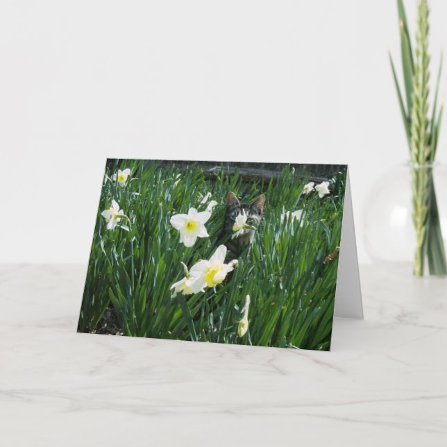 TARJETA FESTIVA GATITO EN FLORES (Anverso)