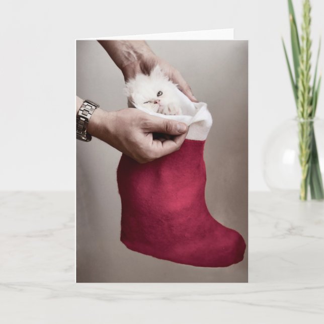 Tarjeta Festiva Gatito enojado (Anverso)