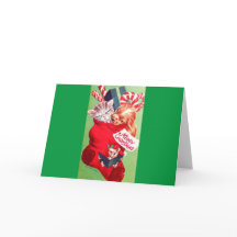 Gatito hermoso del perrito del bebé de los