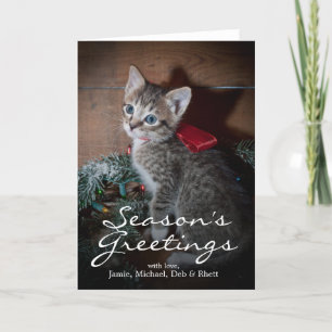 Tarjeta Festiva Gatito lindo