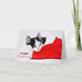 Tarjeta Festiva Gatito lindo en Santa Hat