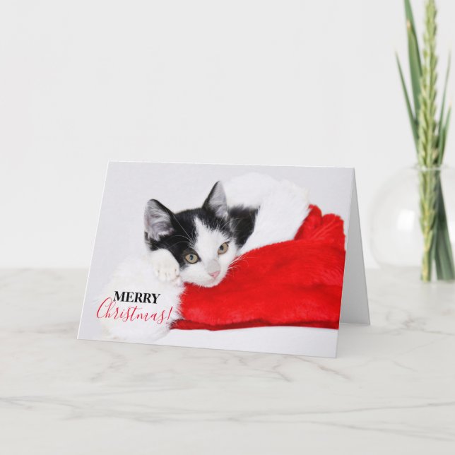 Tarjeta Festiva Gatito lindo en Santa Hat (Anverso)