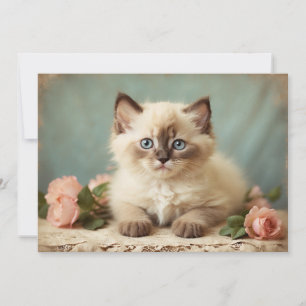 Tarjeta Festiva Gatito Ragdoll Lindo Retrato Antiguo Flores Dulce