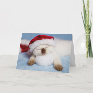 Tarjeta Festiva Gatito siamés: Festividad en la sirena