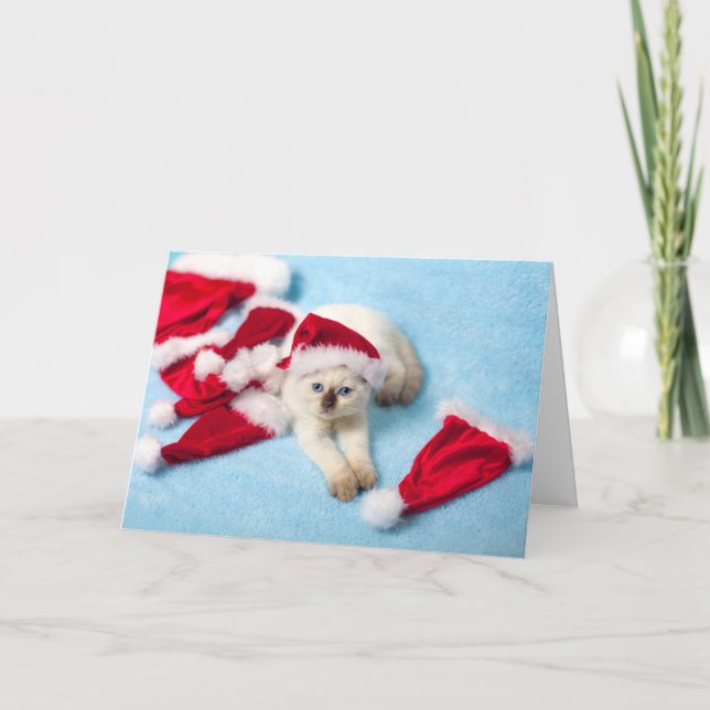 Tarjeta Festiva Gatito siamés: Gorras de Santa (Anverso)