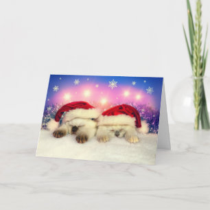 Tarjeta Festiva Gatito siamés: Santa Twinsies