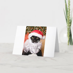 Tarjeta Festiva Gatito triste de Franny Claus Santa