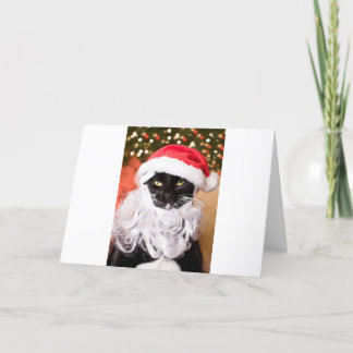 Tarjeta Festiva Gatito triste de Franny Claus Santa