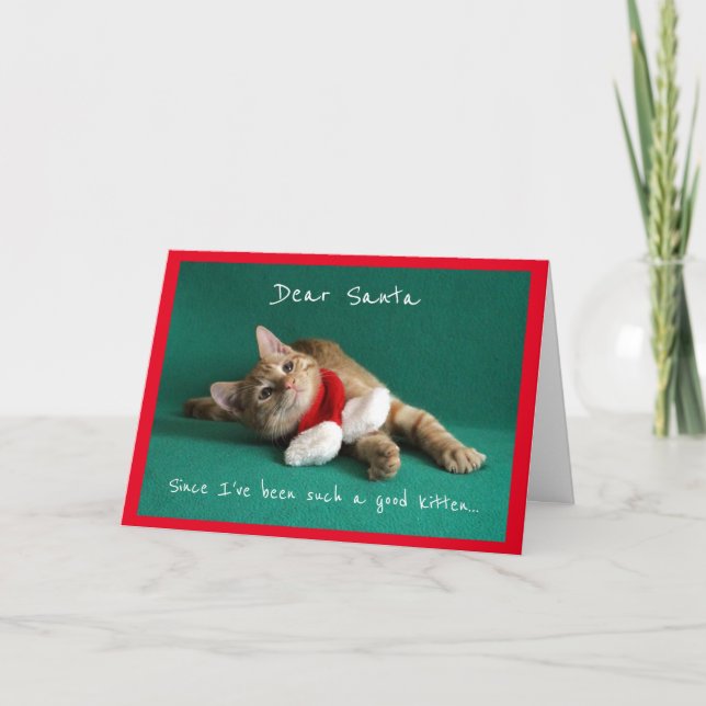 Tarjeta Festiva Gatito vestido para Navidades (Anverso)