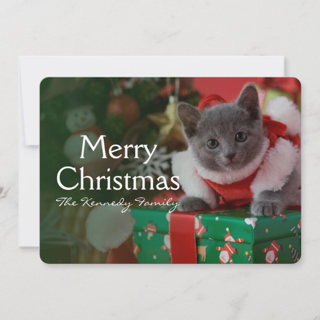 Tarjeta Festiva Gatitos azules rusos y Navidades