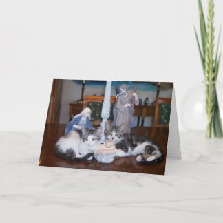 Tarjeta Festiva Gatitos de Jesús