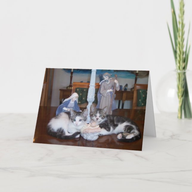 Tarjeta Festiva Gatitos de Jesús (Anverso)