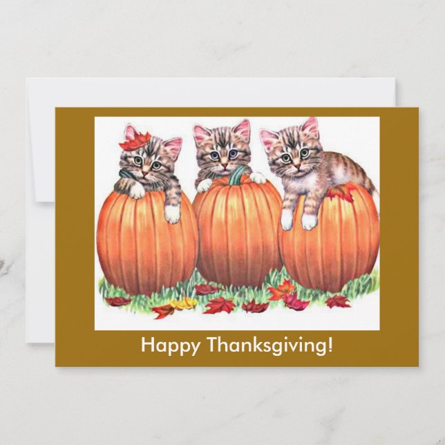 Tarjeta Festiva Gatitos felices de Acción de Gracias en calabazas, (Anverso)