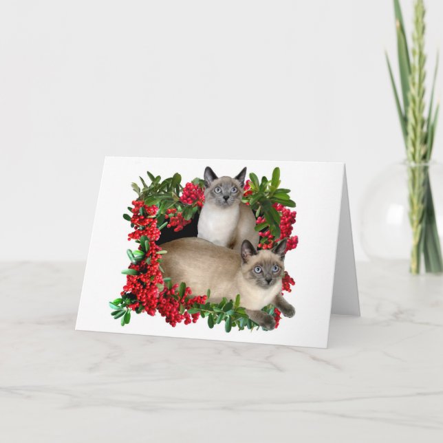 Tarjeta Festiva Gatitos siameses en marco de la baya (Anverso)