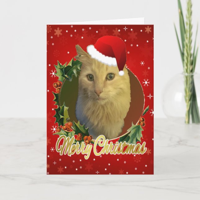 Tarjeta Festiva Gato Adorable En Navidades De Santa Hat (Anverso)